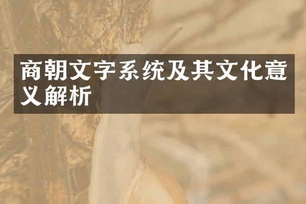 商朝文字系统及其文化意义解析
