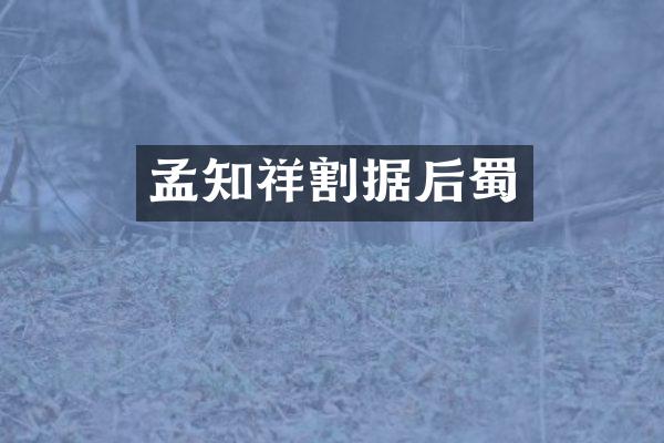 孟知祥割据后蜀
