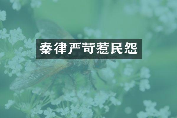 秦律严苛惹民怨