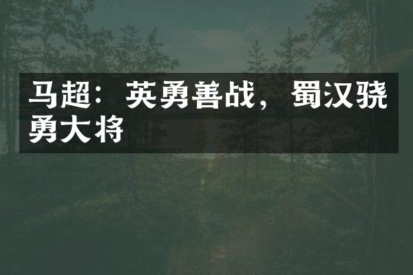 马超：英勇善战，蜀汉骁勇大将