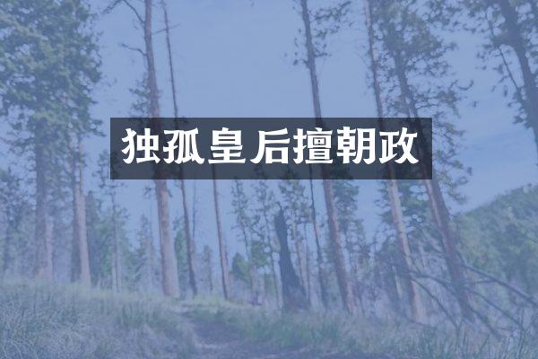 独孤皇后擅朝政