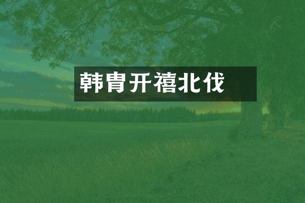 韩侂胄开禧北伐