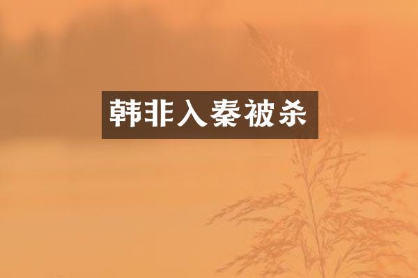 韩非入秦
