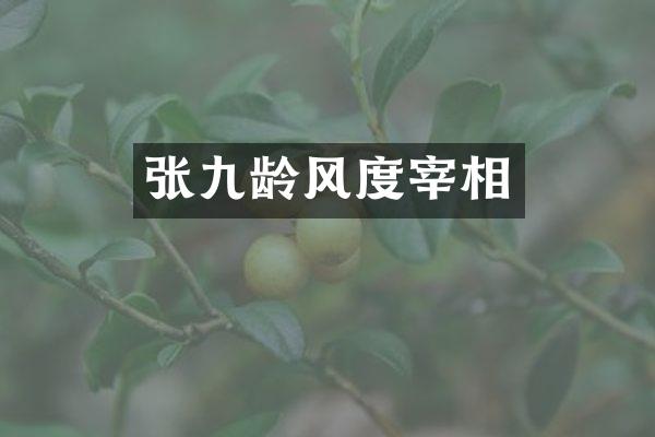 张九龄风度宰相
