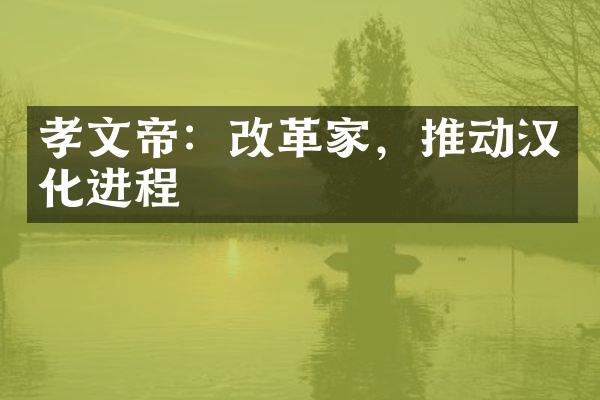 孝文帝：改革家，推动汉化进程
