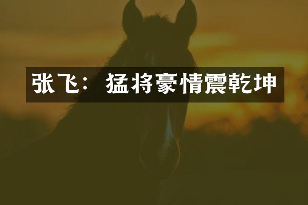 张飞：猛将豪情震乾坤