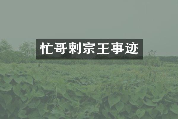 忙哥剌宗王事迹