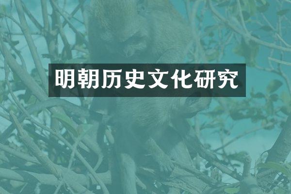 明朝历史文化研究