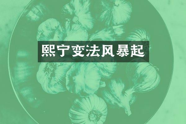 熙宁变法风暴起