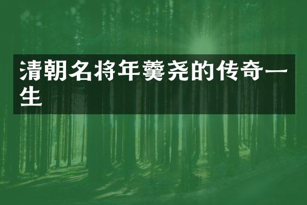 清朝名将年羹尧的传奇一生