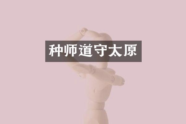 种师道守太原