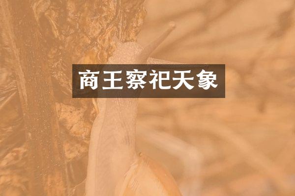 商王察祀天象