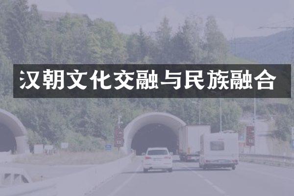 汉朝文化交融与民族融合