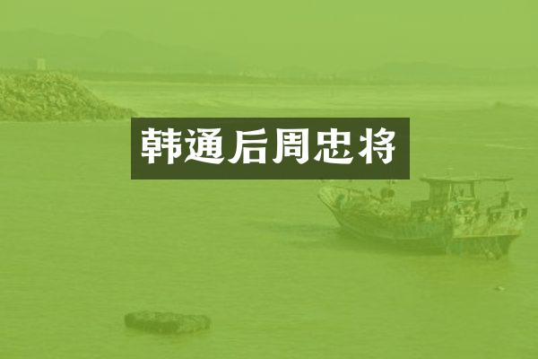 韩通后周忠将