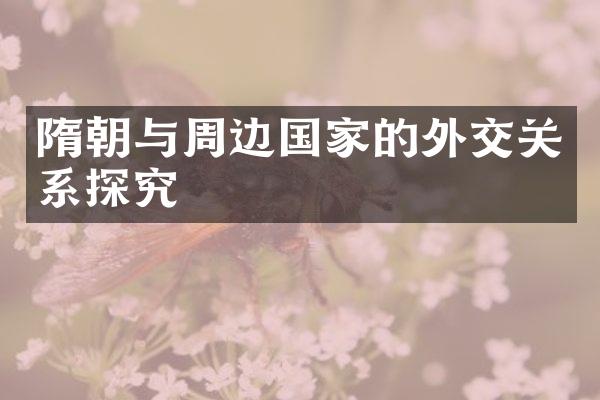 隋朝与周边国家的外交关系探究