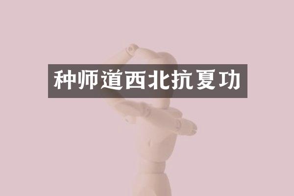 种师道西北抗夏功