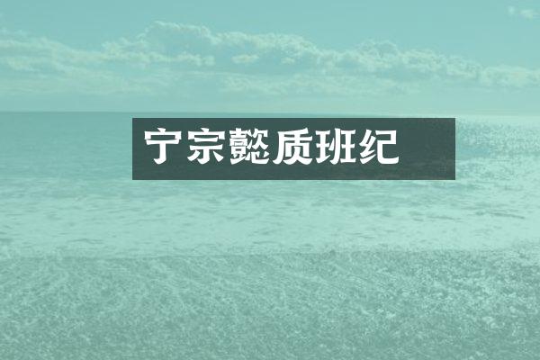 宁宗懿璘质班纪