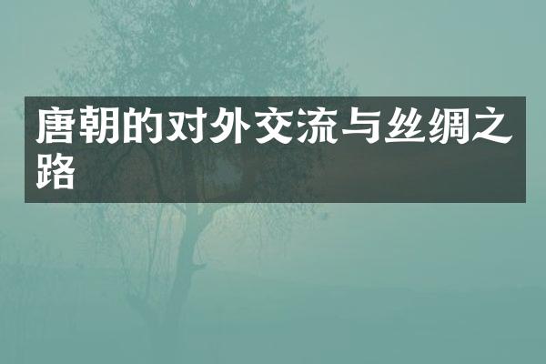 唐朝的对外交流与丝绸之路