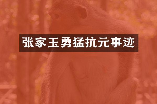 张家玉勇猛抗元事迹