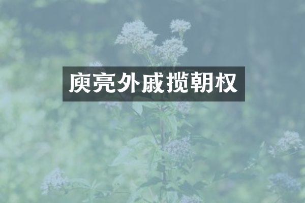 庾亮外戚揽朝权