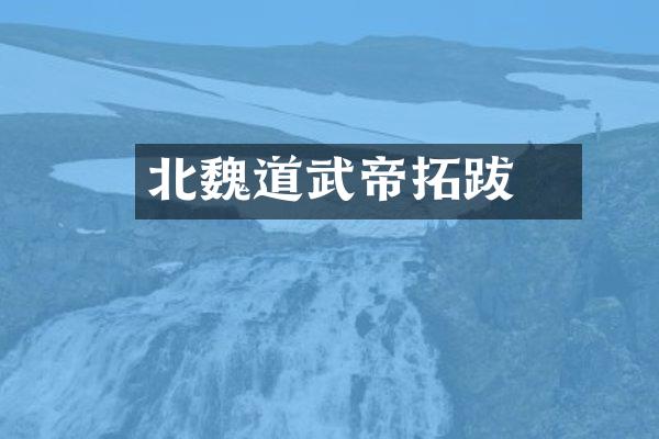 北魏道武帝拓跋珪