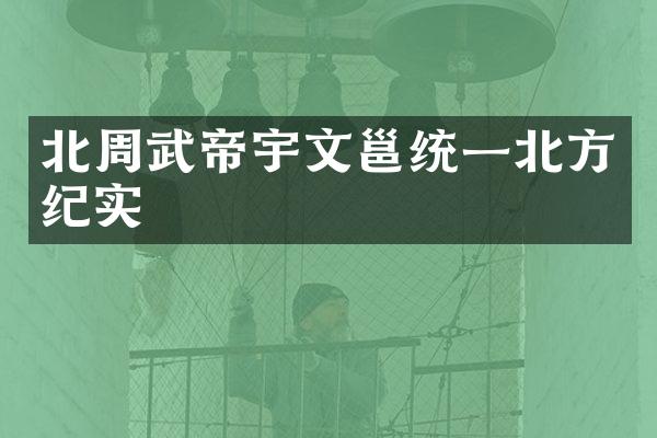 北周武帝宇文邕统一北方纪实