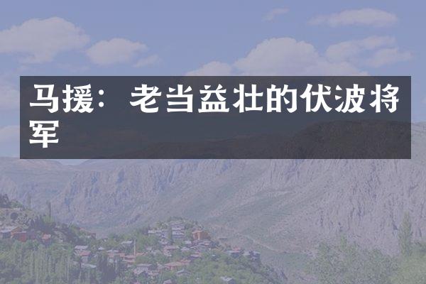 马援：老当益壮的伏波将军
