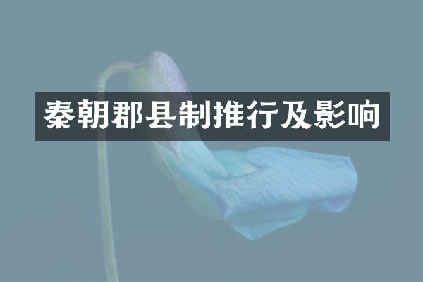 秦朝郡县制推行及影响