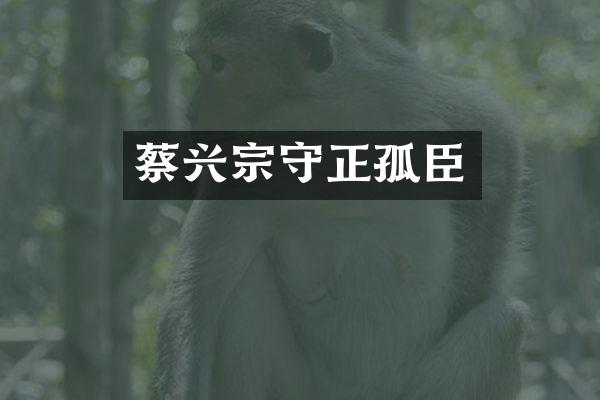 蔡兴宗守正孤臣