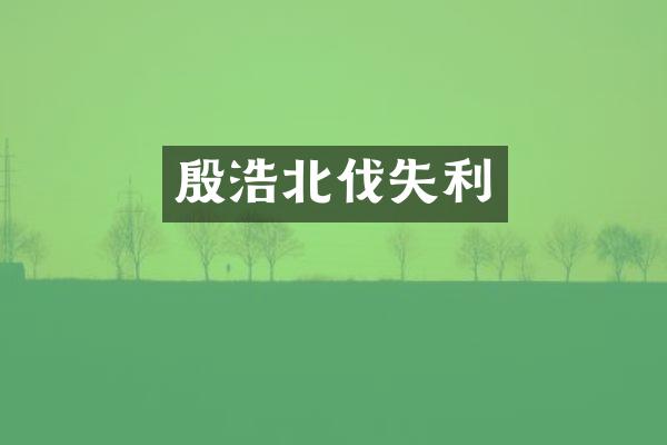 殷浩北伐失利