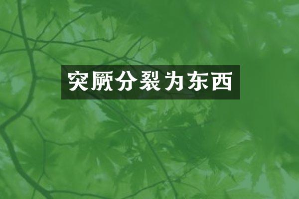 突厥分裂为东西