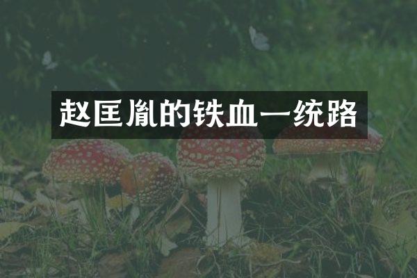 赵匡胤的铁血一统路