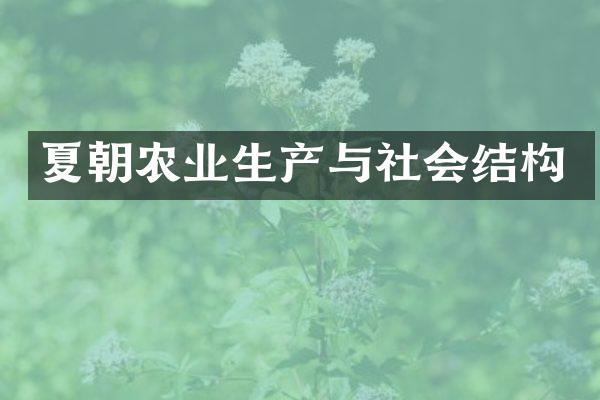 夏朝农业生产与社会结构