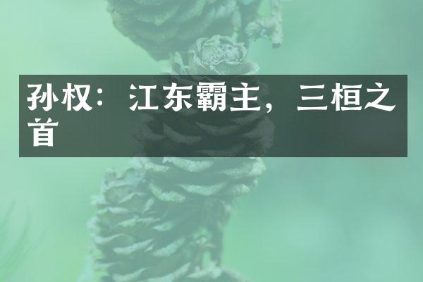 孙权：江东霸主，三桓之首