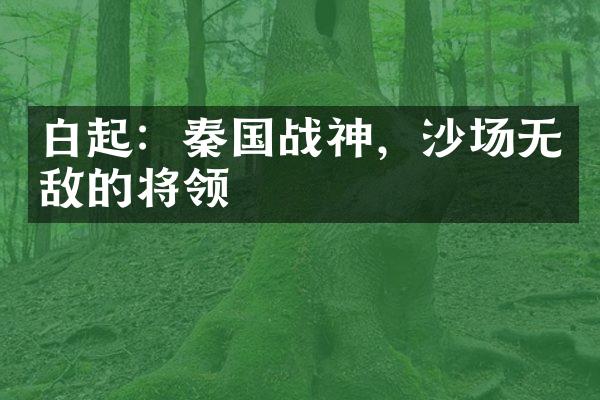 白起：秦国战神，沙场无敌的将领