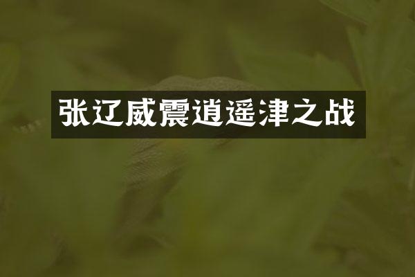 张辽威震逍遥津之战