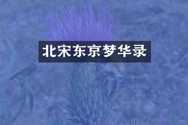 北宋东京梦华录