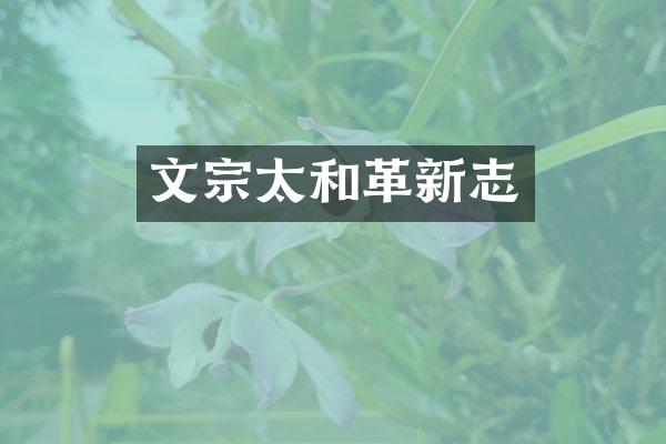 文宗太和革新志
