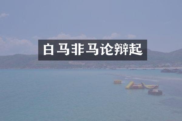 白马非马论辩起