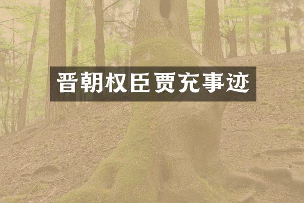 晋朝权臣贾充事迹