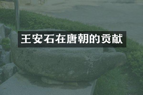 王安石在唐朝的贡献
