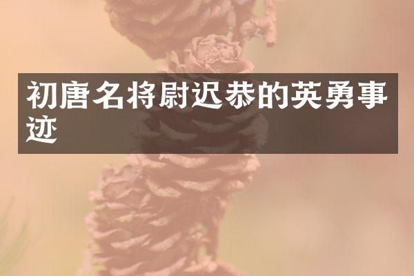 初唐名将尉迟恭的英勇事迹
