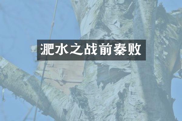 淝水之战前秦败