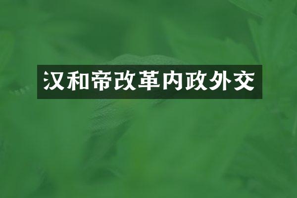 汉和帝改革内政外交