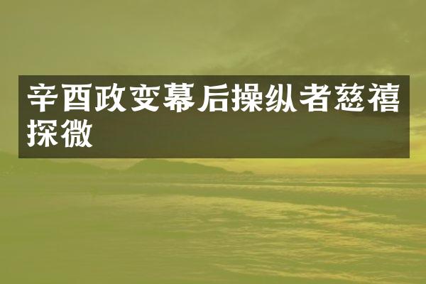 辛酉政变幕后操纵者慈禧探微