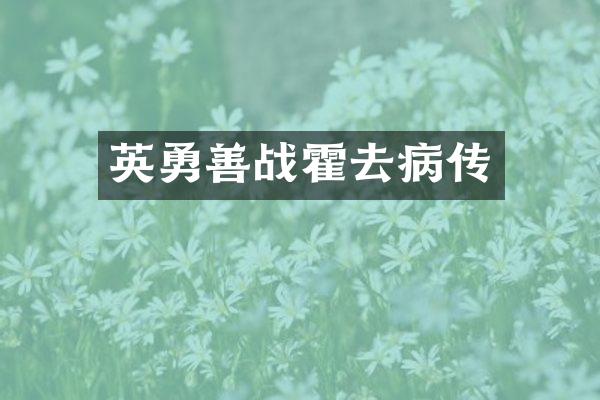 英勇善战霍去病传