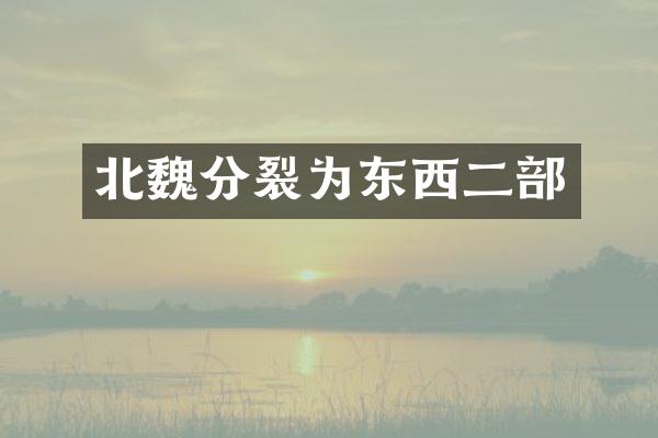 北魏分裂为东西二部