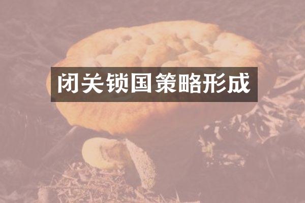 闭关锁国策略形成