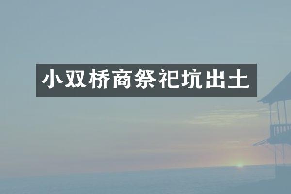 小双桥商祭祀坑出土