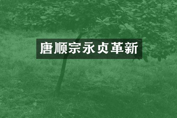 唐顺宗永贞革新